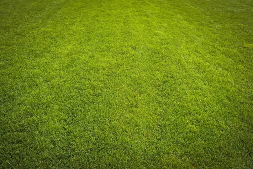 Jak nadać rabacie naturalny wygląd