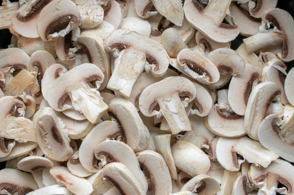 Jak podać pieczarki w sosie śmietanowym